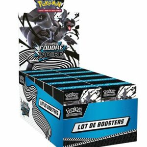 ev10.5 display bundle boîte de 10 bundles foudre noire